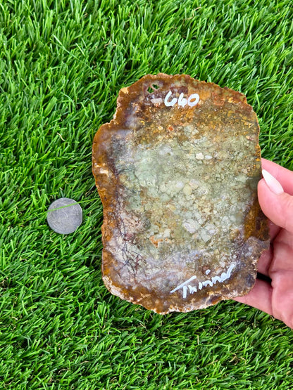 Brecciated Jasper Slabs N658-660