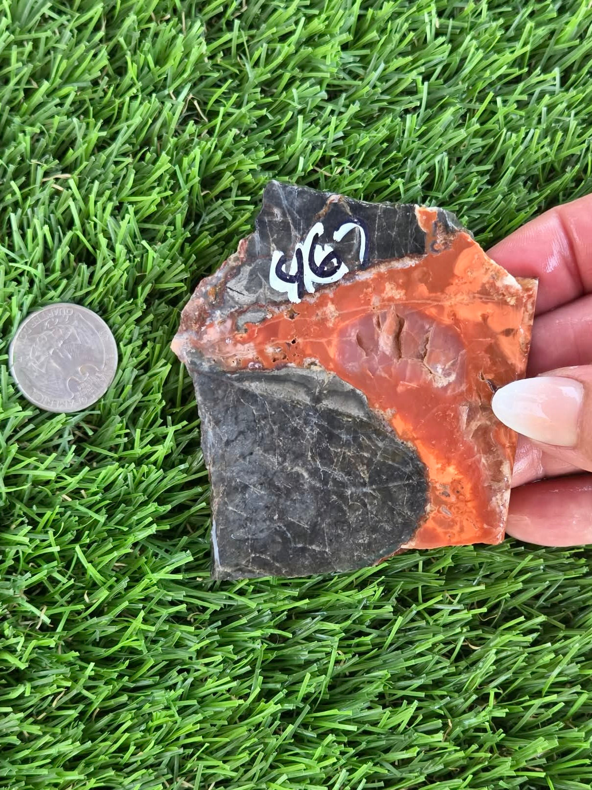 Arizona Rainbow Petrified Wood Slab J463-469
