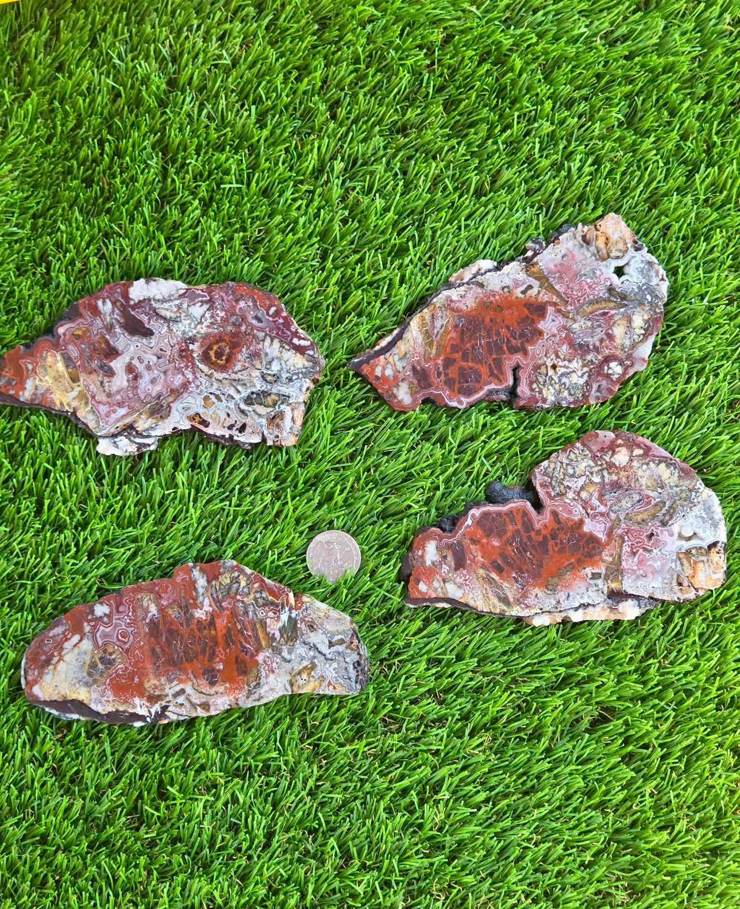 Laguna Lace Agate Slabs Q801–804