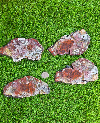 Laguna Lace Agate Slabs Q801–804
