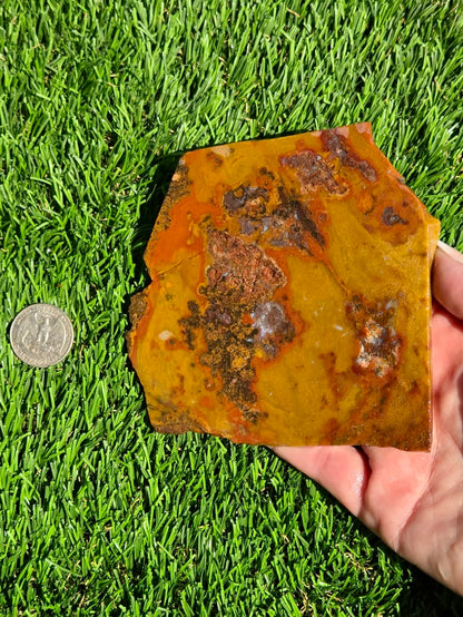 Arizona Jasper Agate Slabs J495-496