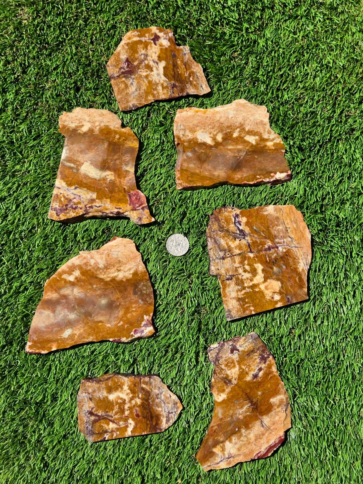 Burro Creek Jasper Slabs R841–847