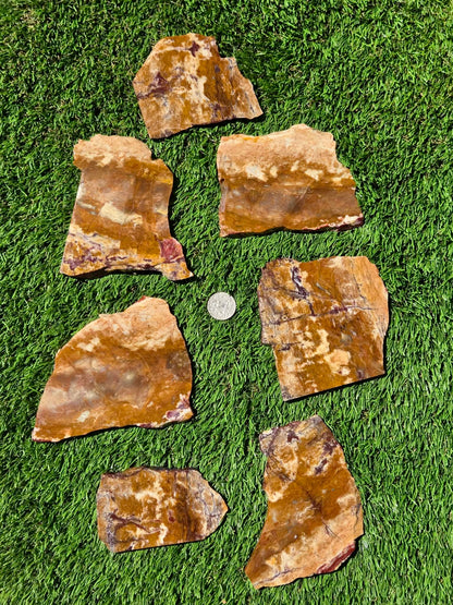 Burro Creek Jasper Slabs R841–847