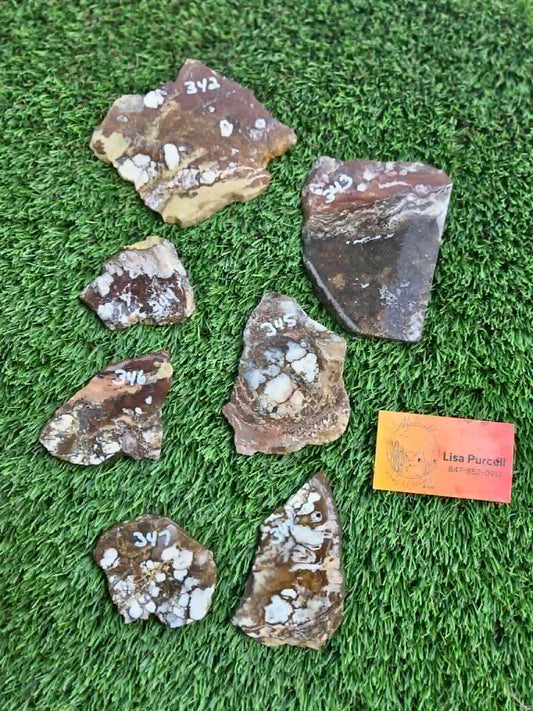 Wild Horse Jasper Slabs G342-348