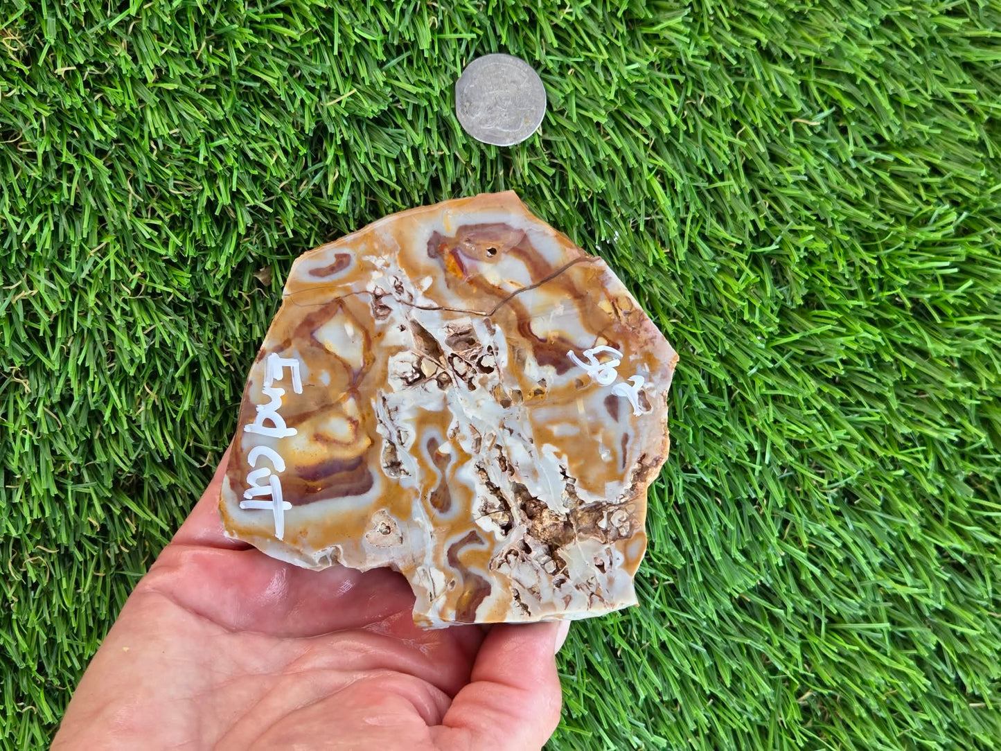 Banded Brecciated Jasper/Agate Slabs L557-562