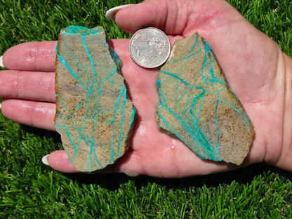 Globe Chrysocolla Slab Bundle-SB104