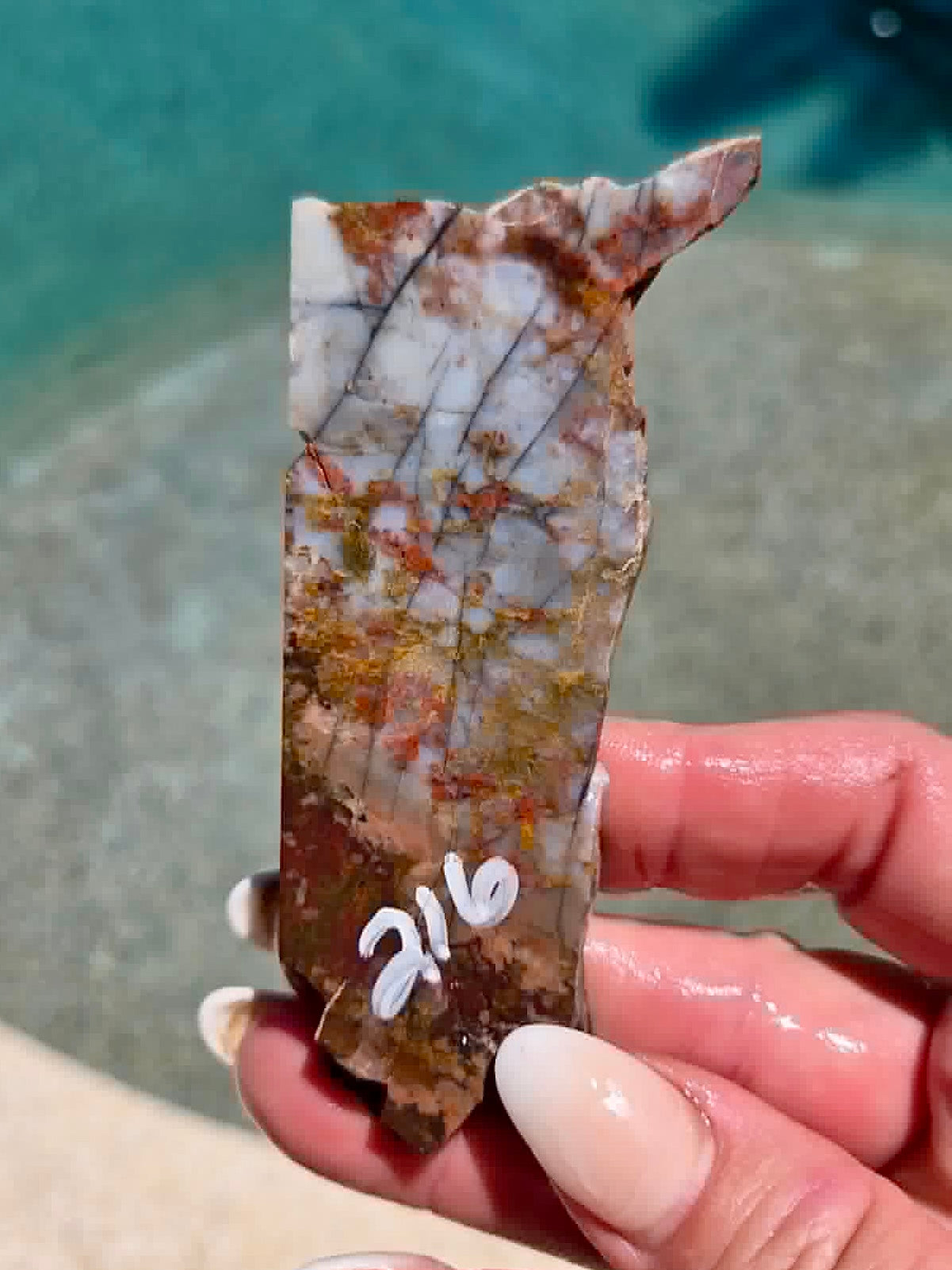 Utah Rainbow Jasper Slab 213-217