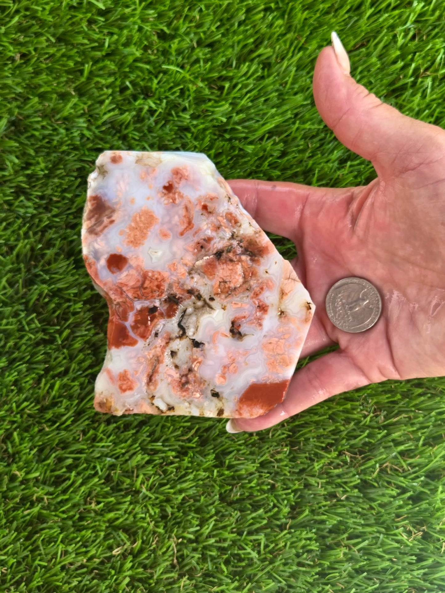 Cotton Candy Agate Slabs S891–895