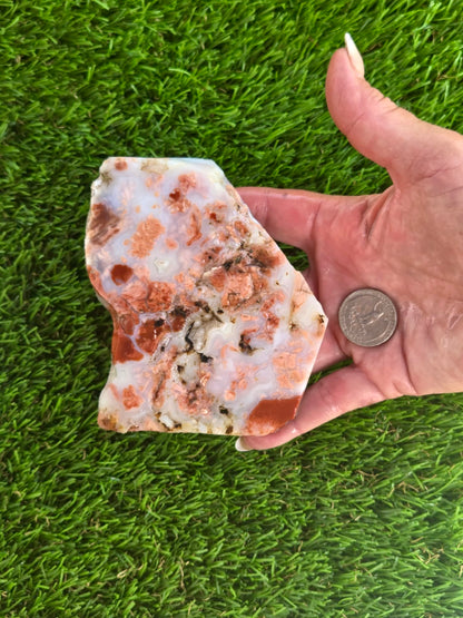 Cotton Candy Agate Slabs S891–895