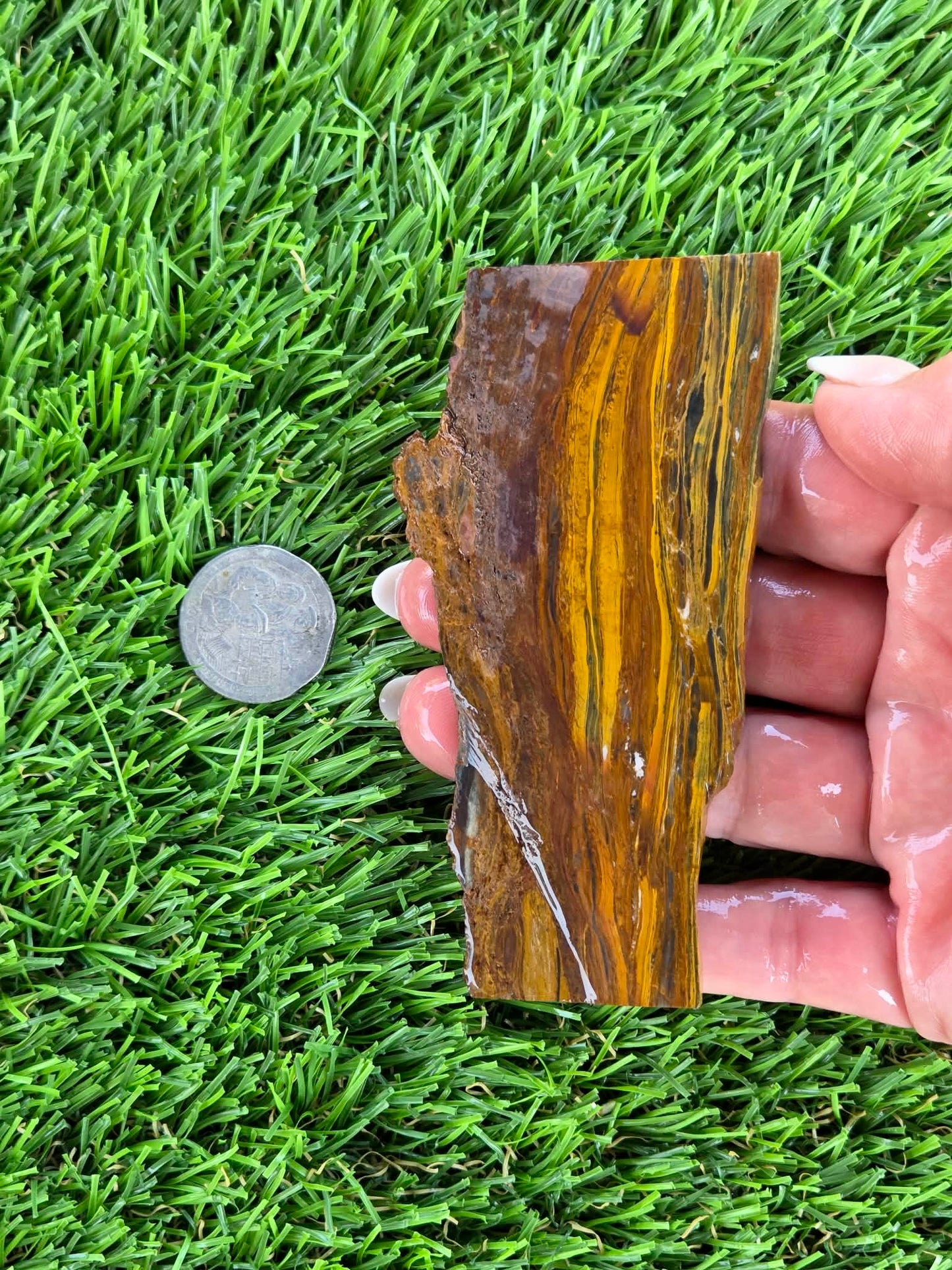 Golden Tiger’s Eye Slabs N650-651