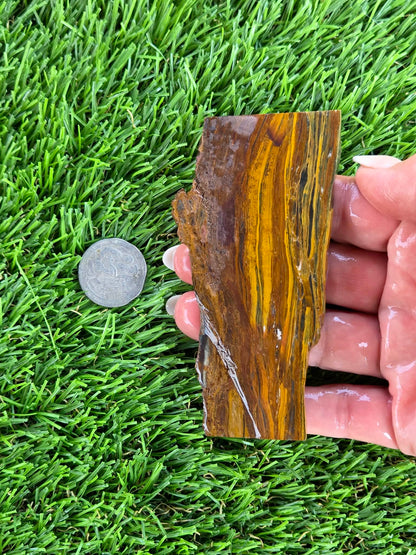 Golden Tiger’s Eye Slabs N650-651