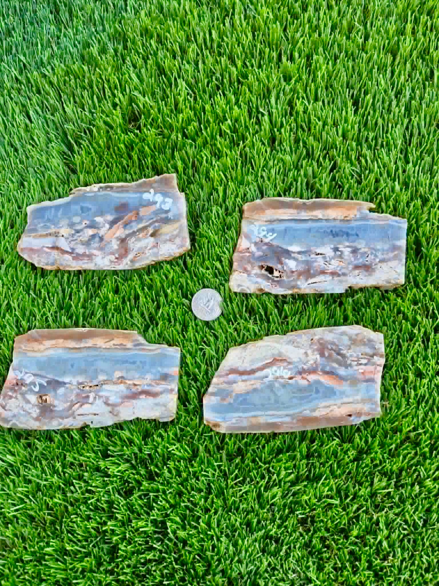 Rare Purple & Peach Burro Creek Agate Slabs F293-296