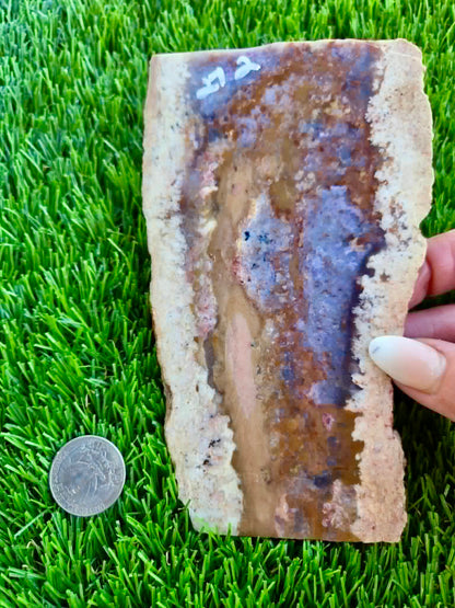 Purple Burro Creek Agate Slab 270-274