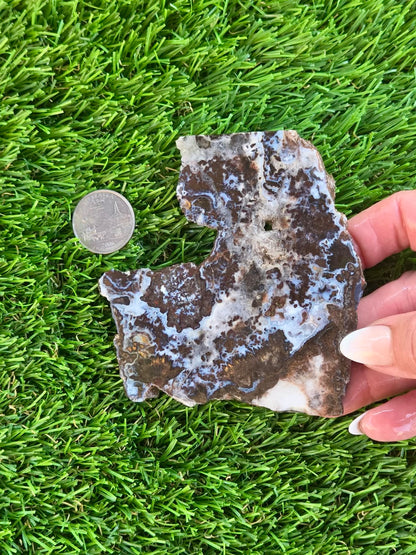 Camp Verde Agate H401-404