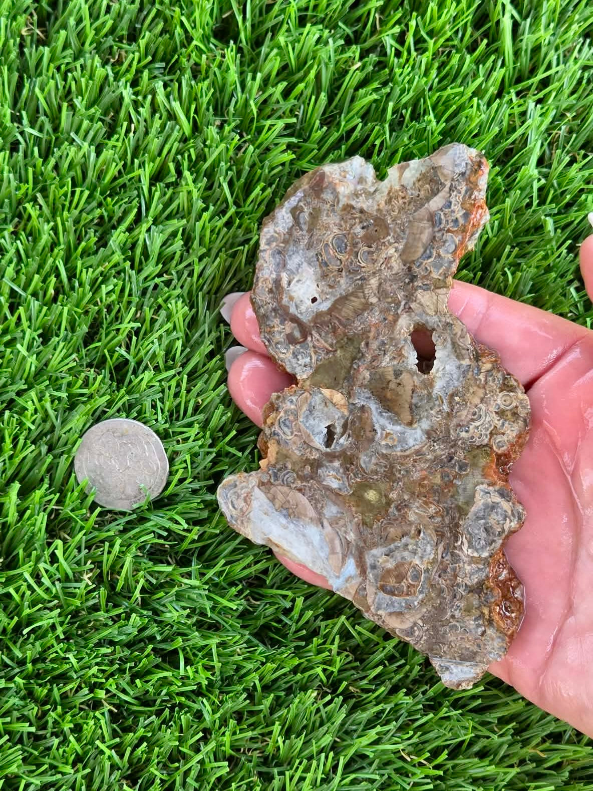Green Mushroom Rhyolite M601-604