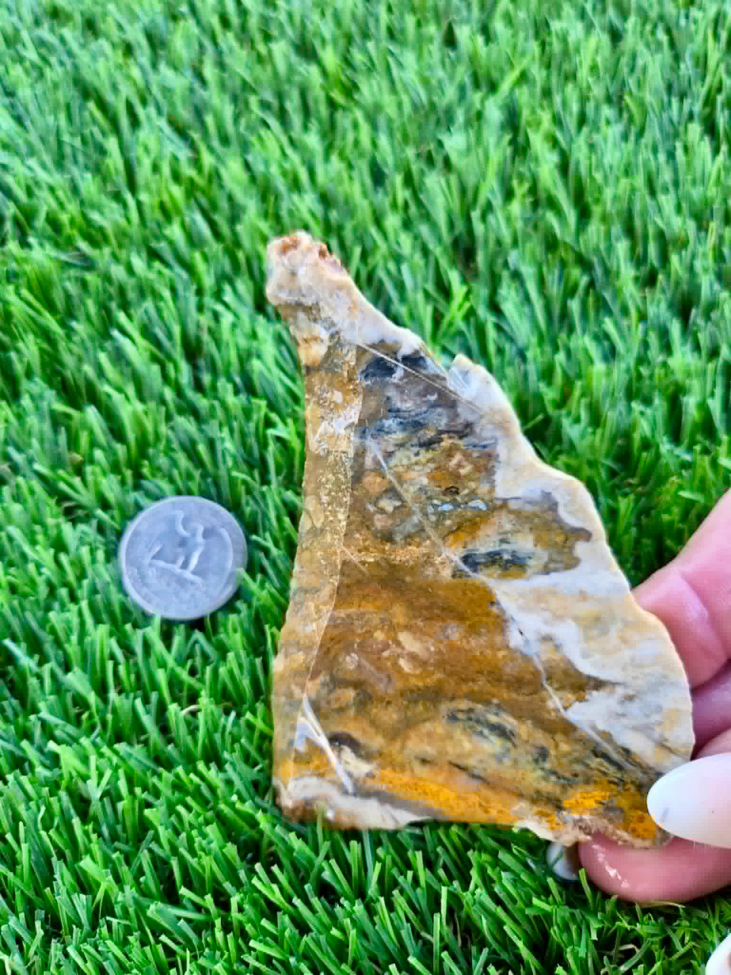Iron-rich jasper/chalcedony with quartz Slabs F297-301