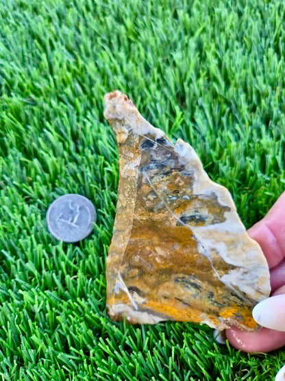 Iron-rich jasper/chalcedony with quartz Slabs F297-301