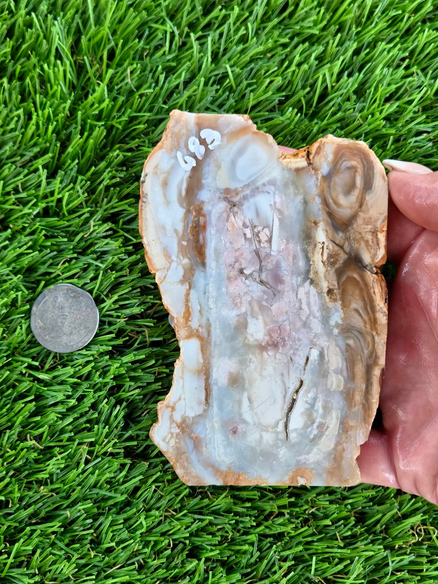 Peach, Cream & Gray Banded Agate Slabs N678-683