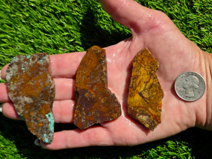 Orange Moss Agate Slab Bundle SB158