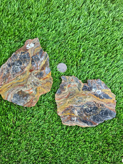 Rainbow Petrified Wood Slabs K516-517
