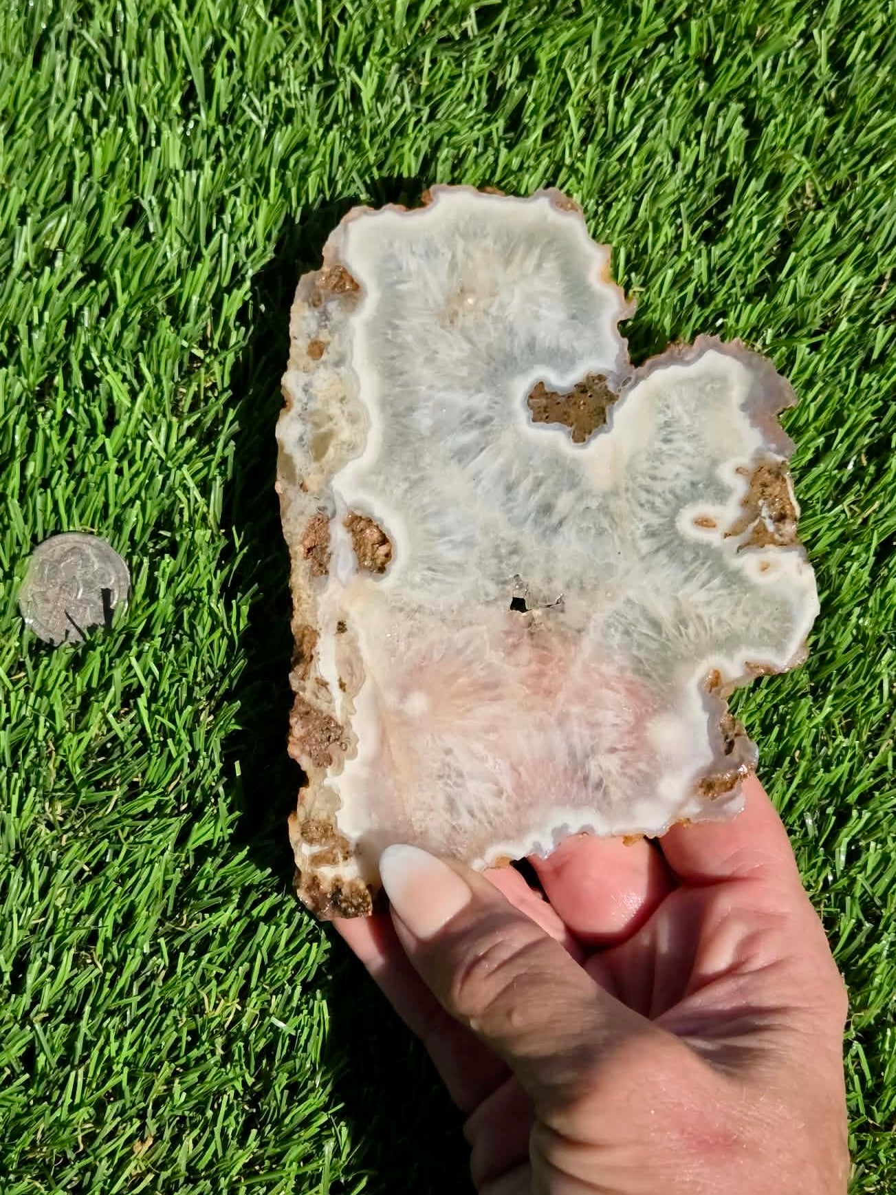 Natural Fortification Agate with Quartz Crystal Druzy Slabs M624-629