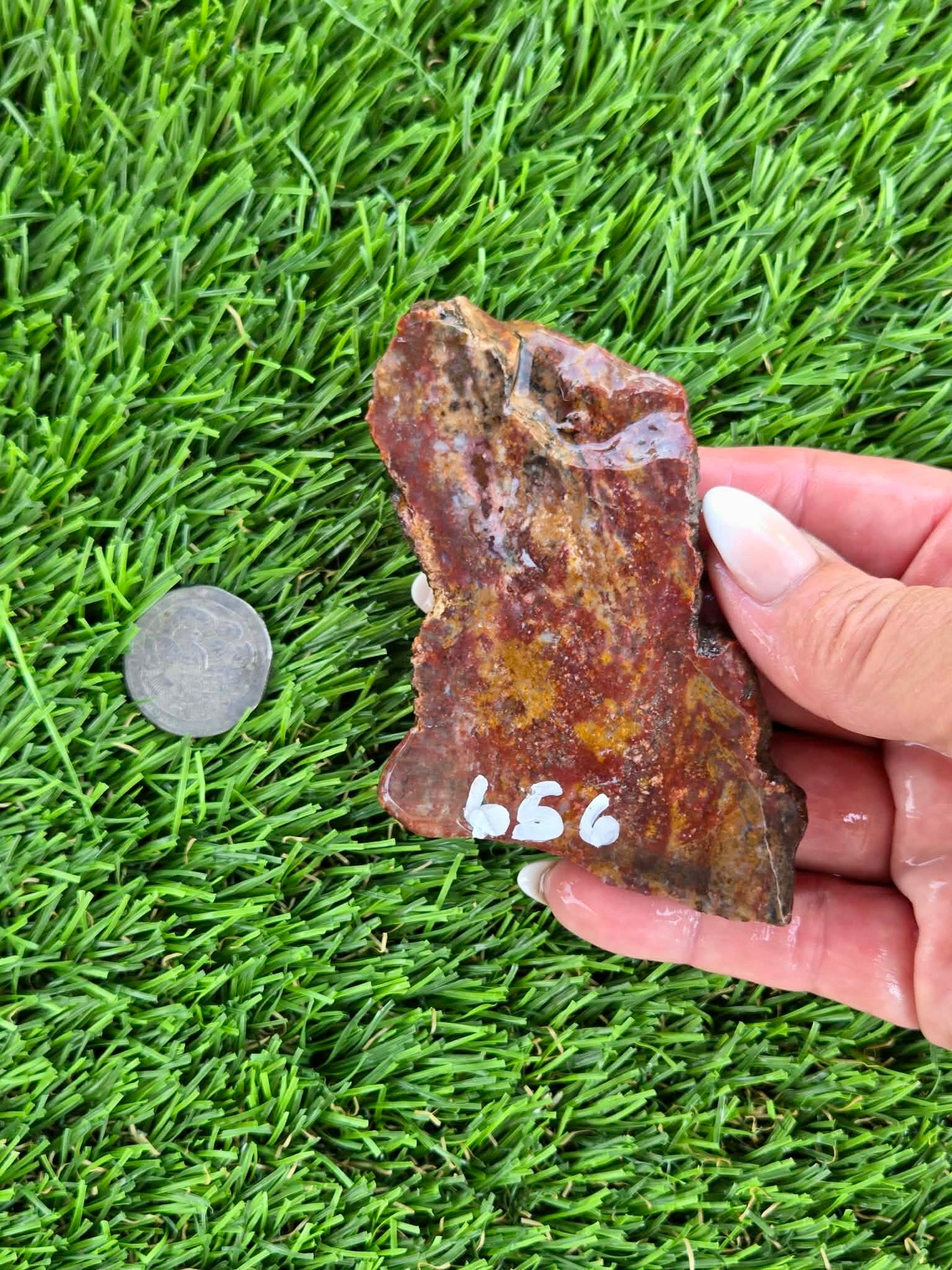 Red & Mustard Jasper Slabs N652-657