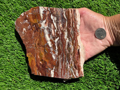 Banded Brecciated Jasper with Agate Slabs O686–689