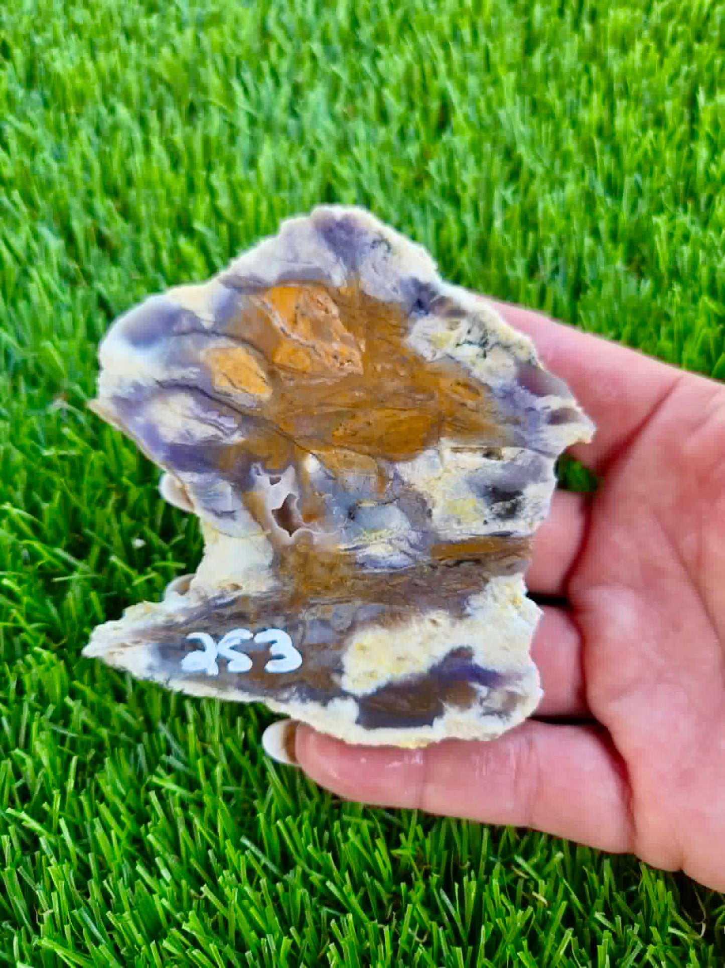 Purple Burro Creek Agate Slab 252-257