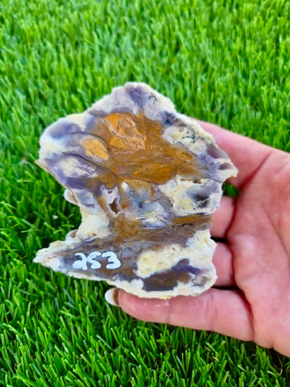 Purple Burro Creek Agate Slab 252-257