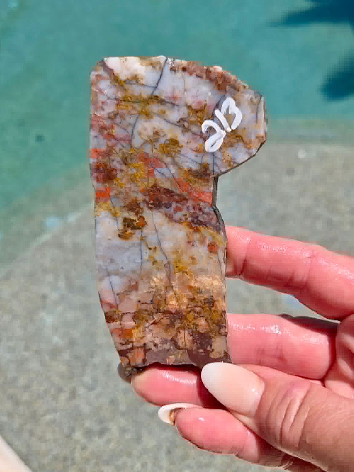 Utah Rainbow Jasper Slab 213-217
