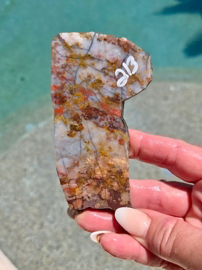 Utah Rainbow Jasper Slab 213-217