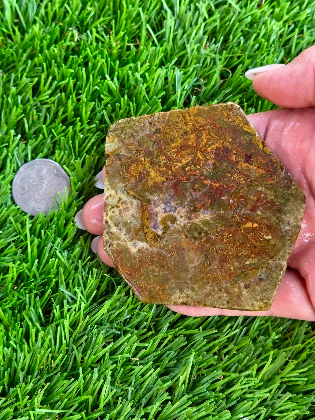 Camp Verde Moss Agate Slabs M591-594