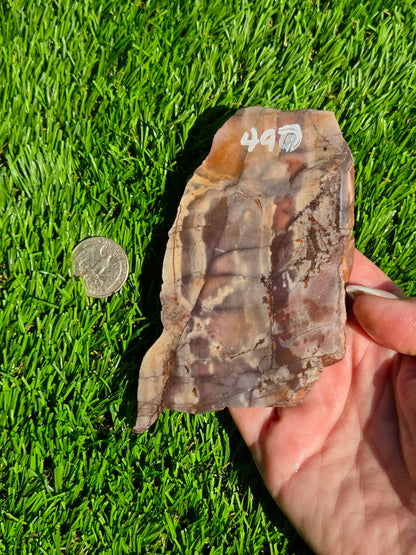Picasso Jasper Slabs J497-502