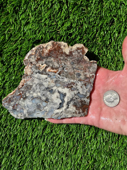 Camp Verde Agate Slabs R848–851