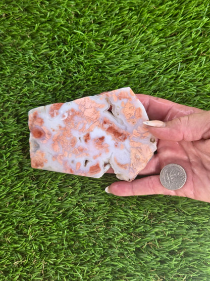 Cotton Candy Agate Slabs S891–895