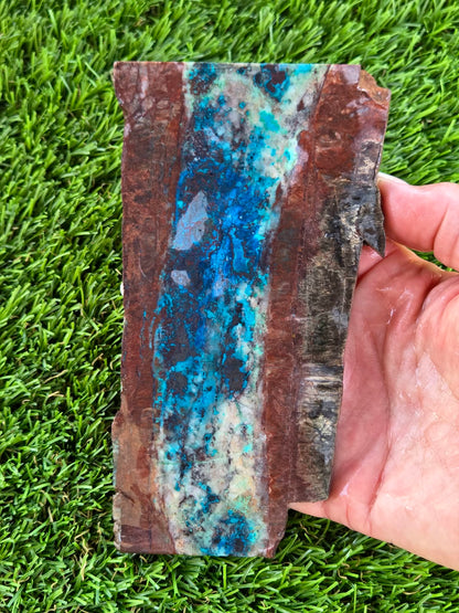 Shattuckite Slabs B107-112