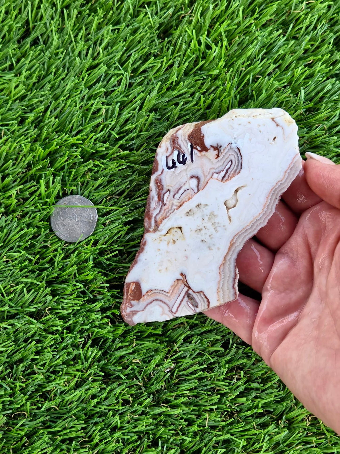 Mexican Moon Lace Agate Slabs N661-662