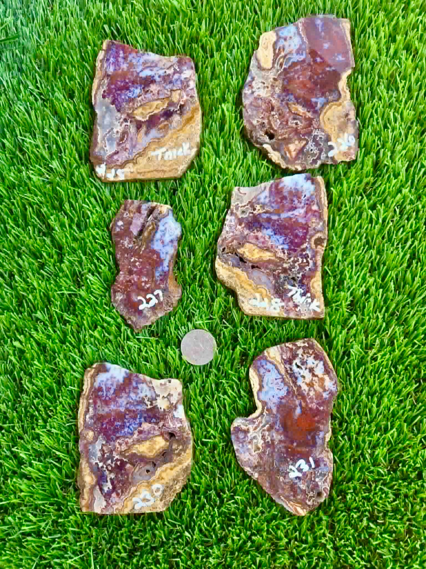 Camp Verde Agate Slab 225-231