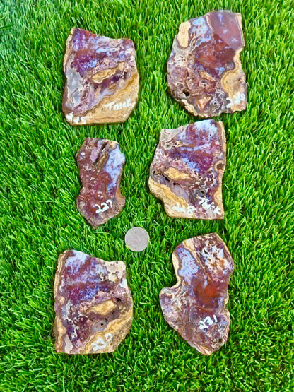 Camp Verde Agate Slab 225-231