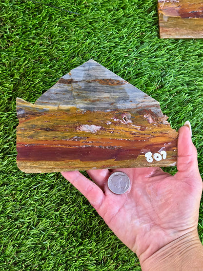 California Picture Jasper Slabs Q805–807