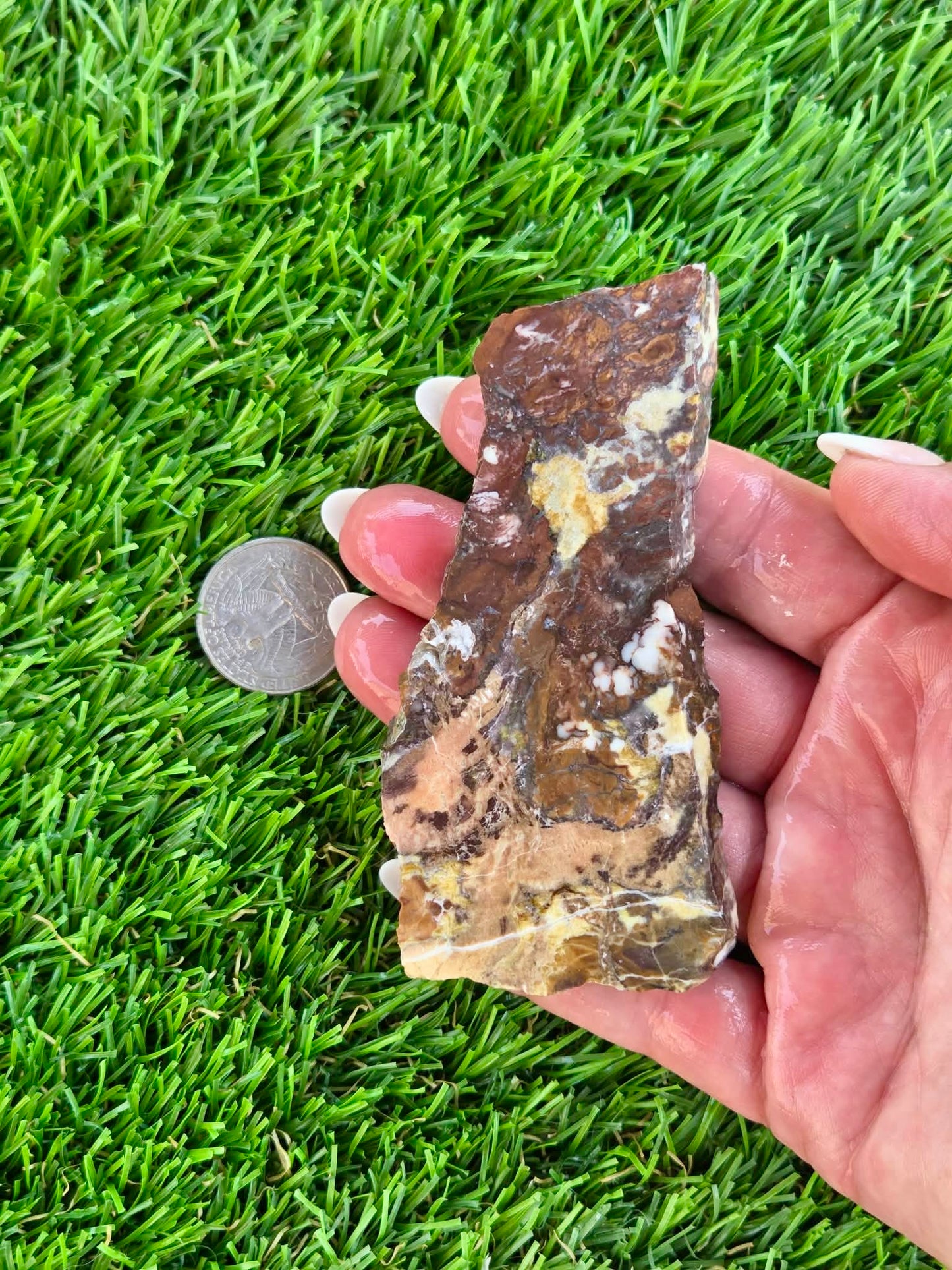 Wild Horse Jasper Slabs G354-359