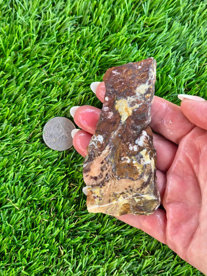 Wild Horse Jasper Slabs G354-359
