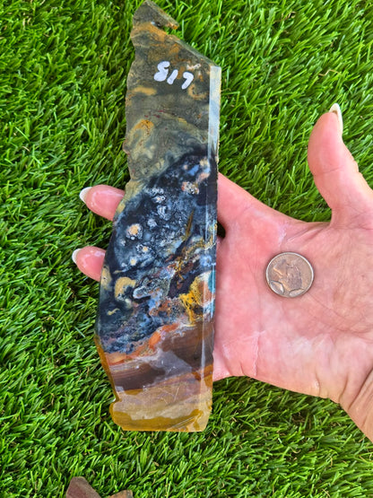 Indonesian Magnetic Banded Jasper Slabs Q813–819