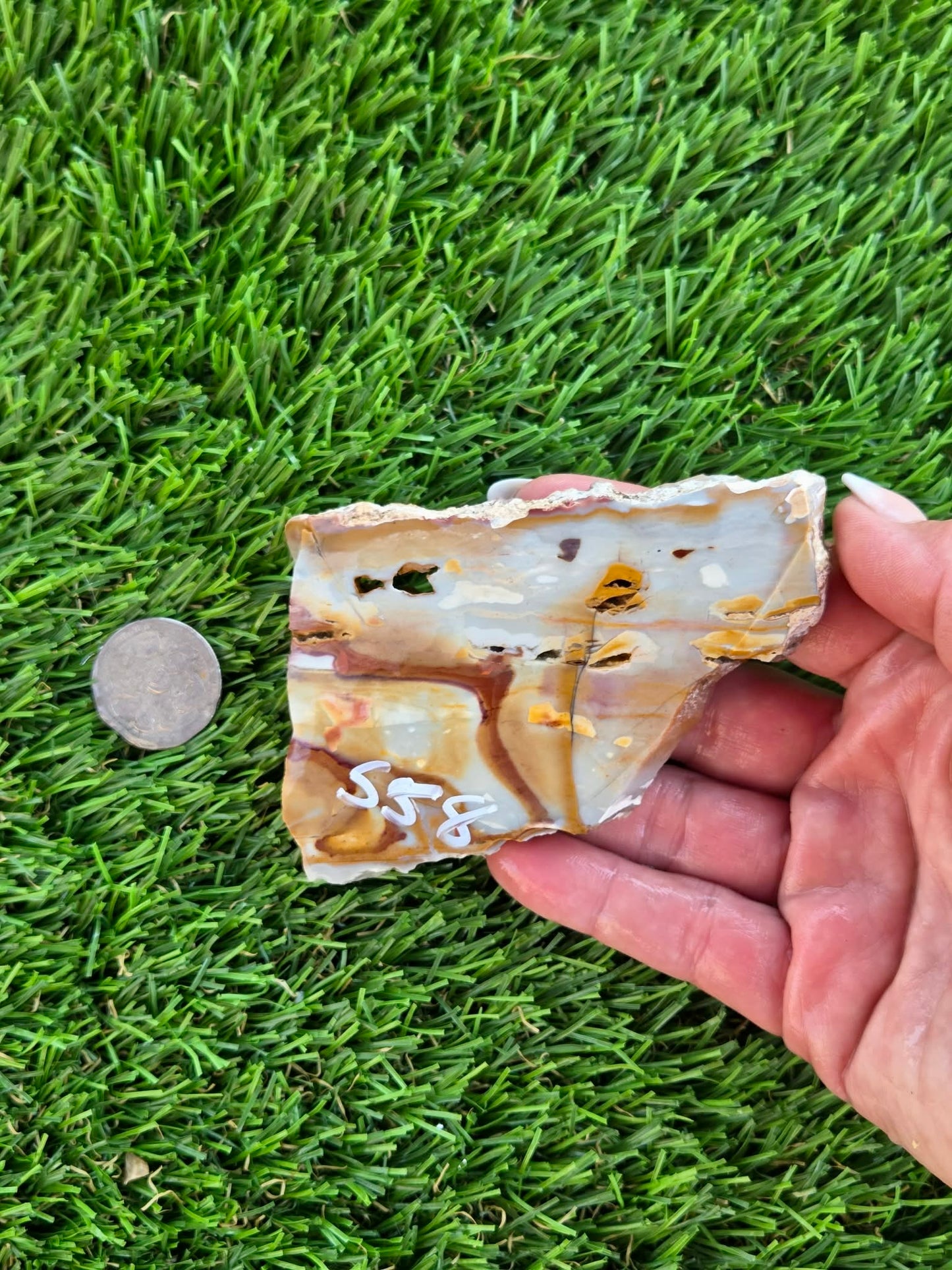 Banded Brecciated Jasper/Agate Slabs L557-562