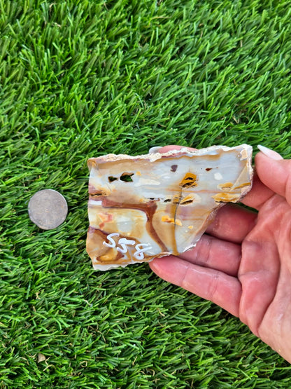 Banded Brecciated Jasper/Agate Slabs L557-562
