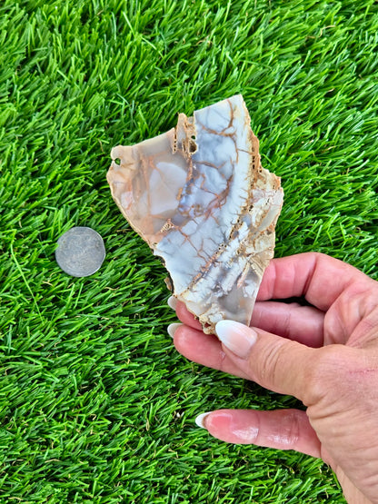 Natural Brecciated Jasper Slabs N645-649