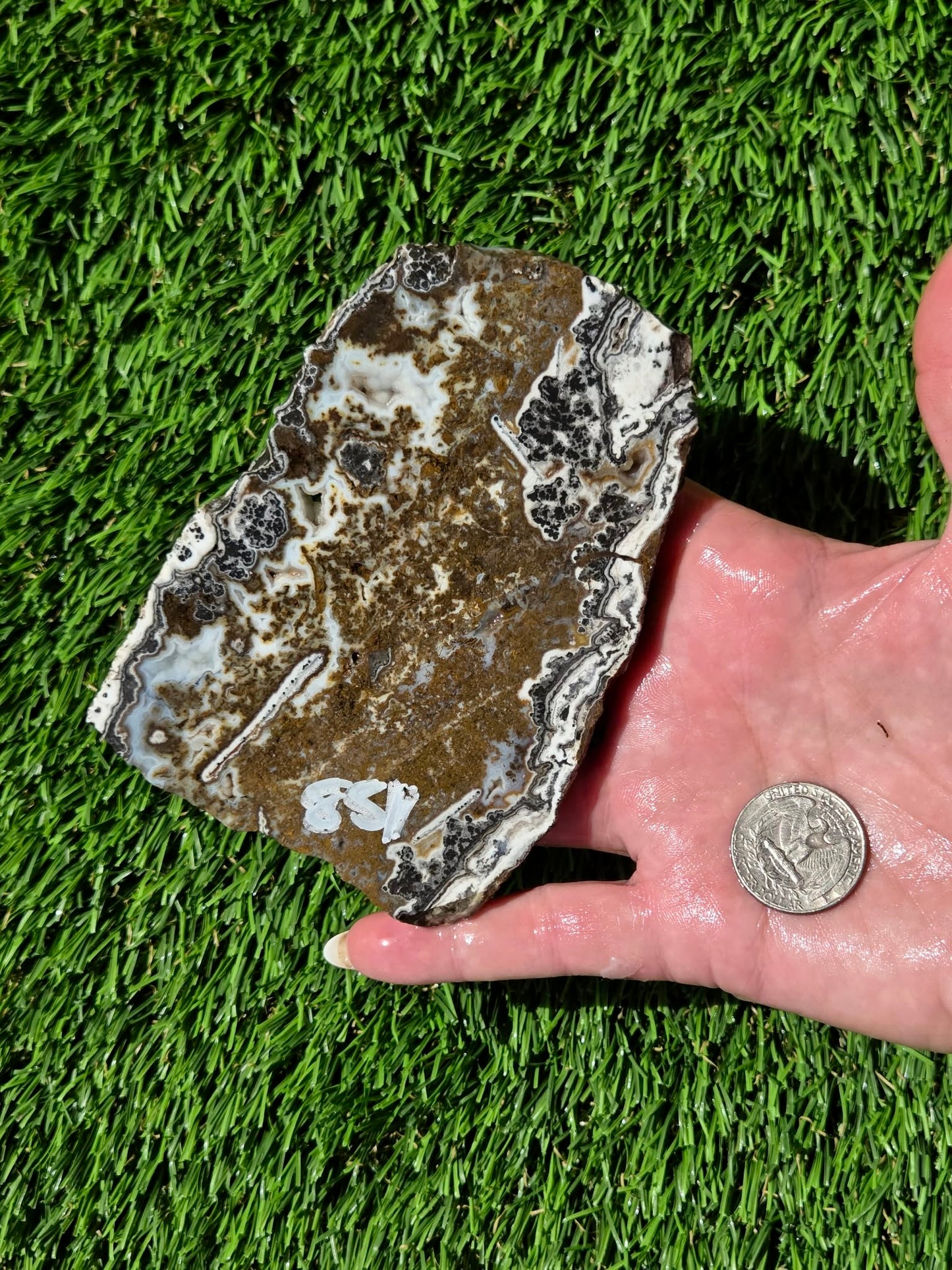 Camp Verde Agate Slabs R848–851