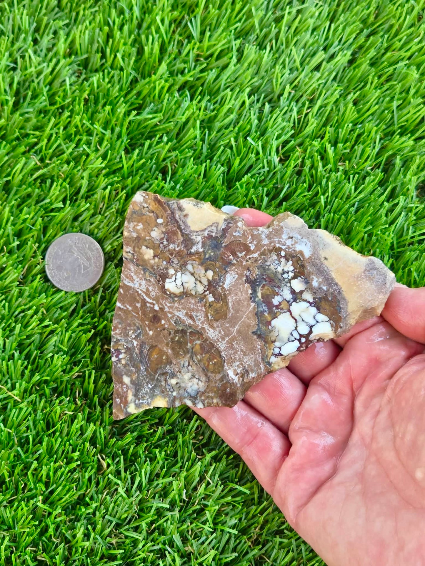 Wild Horse Jasper Slabs G354-359