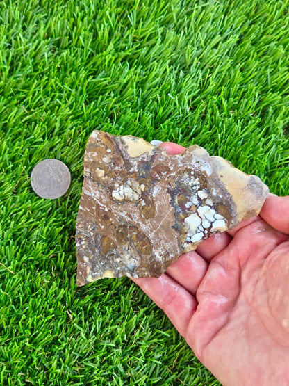Wild Horse Jasper Slabs G354-359