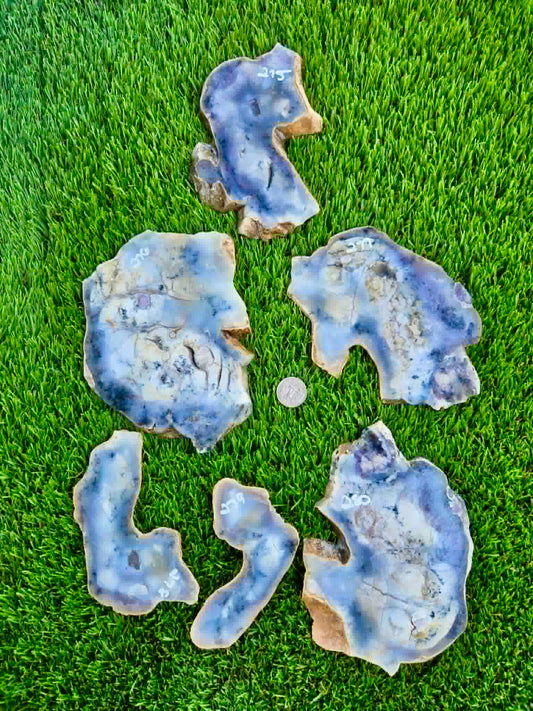 Purple Burro Creek Agate Slab 275-280